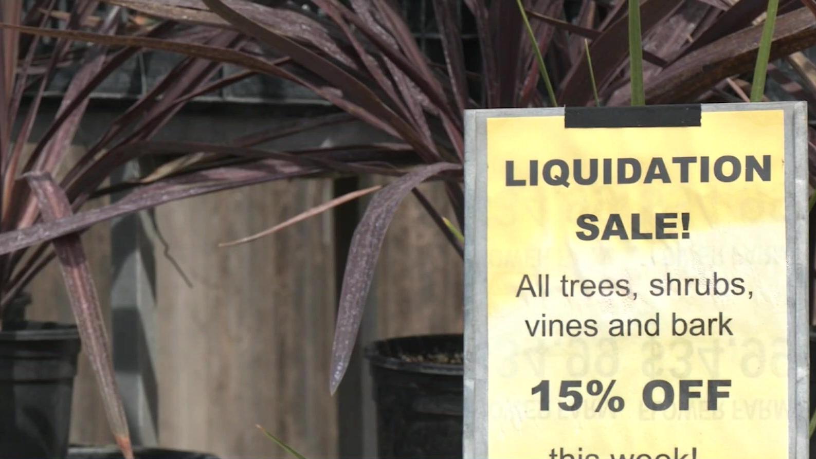 Washington State Halts Sales of Petroleum-Based Licensing Paper Amid Global Shortage — image 6