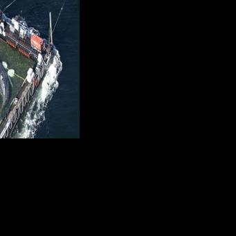 An aerial photo shows the rescued humpback whale in a special barge along the Danish coastline