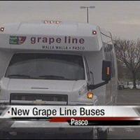 Grape Line Bus New Grape Line buses arrive | News | nbcrightnow.com