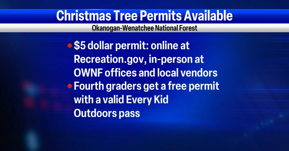 Christmas Tree Permit Arizona 2025