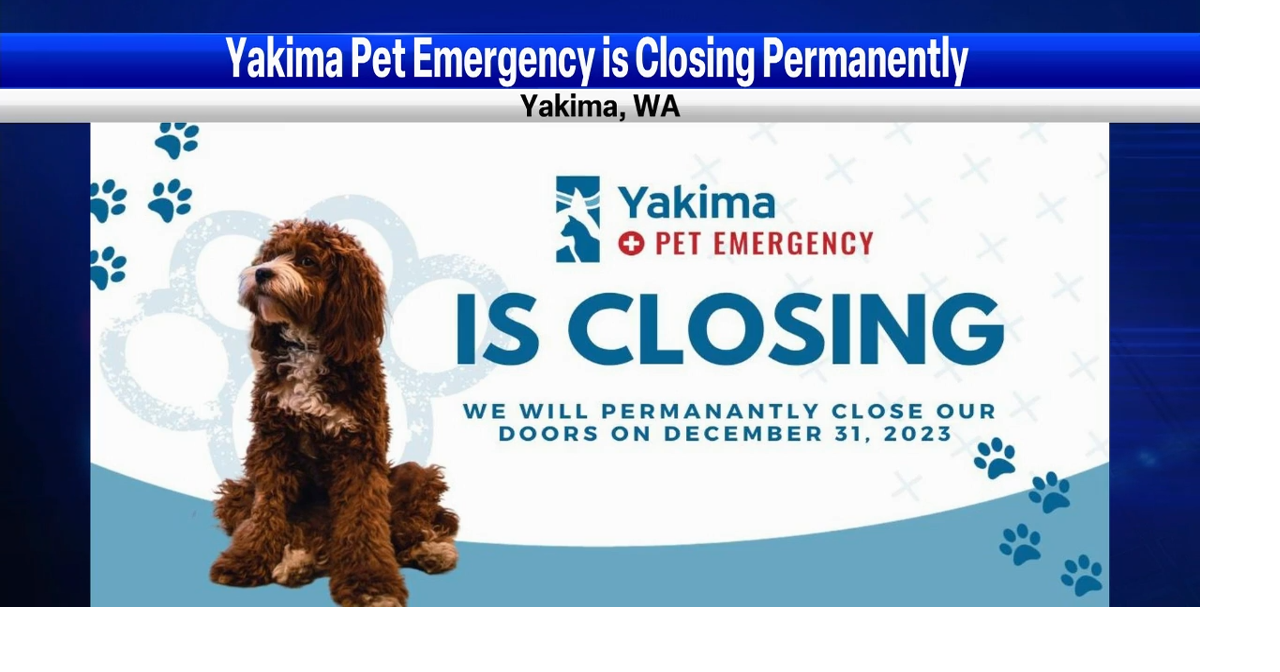 Yakima Pet Emergency Service will close permanently Dec. 31 News