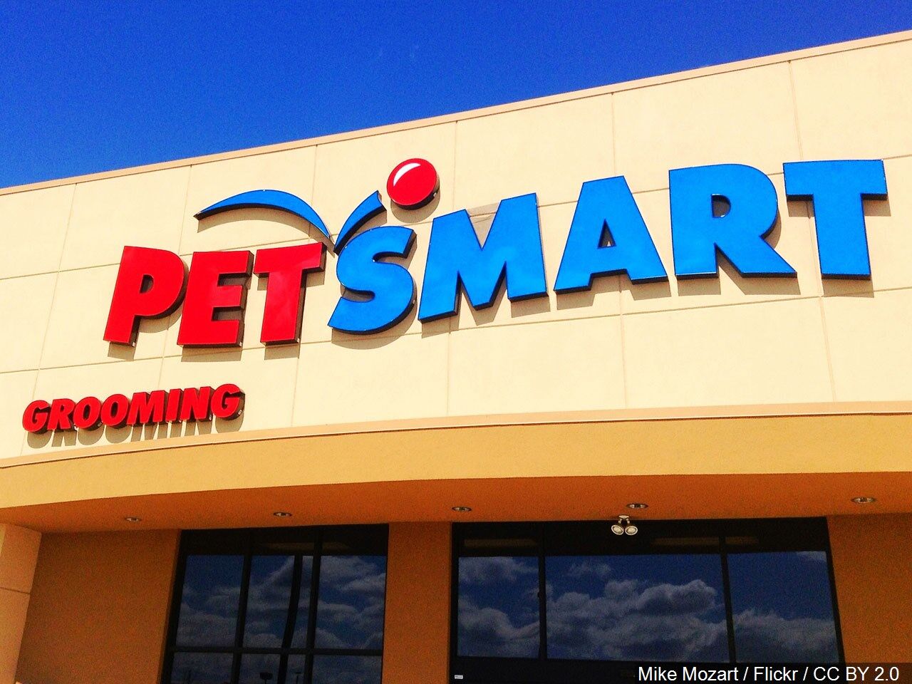 The nearest outlet petsmart