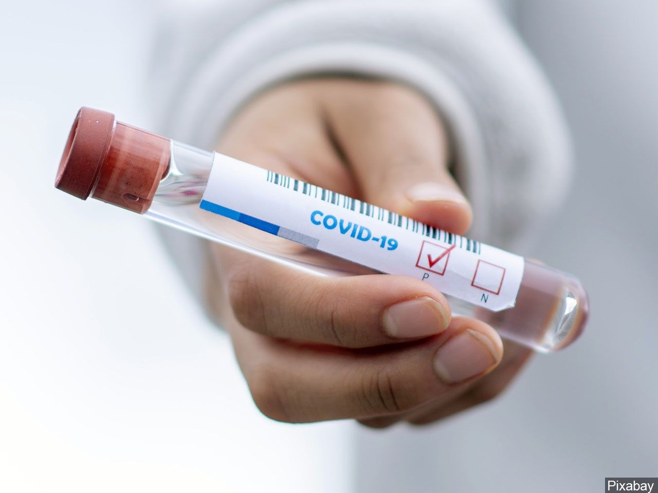 WSU Project aims to increase COVID-19 testing for Native populations