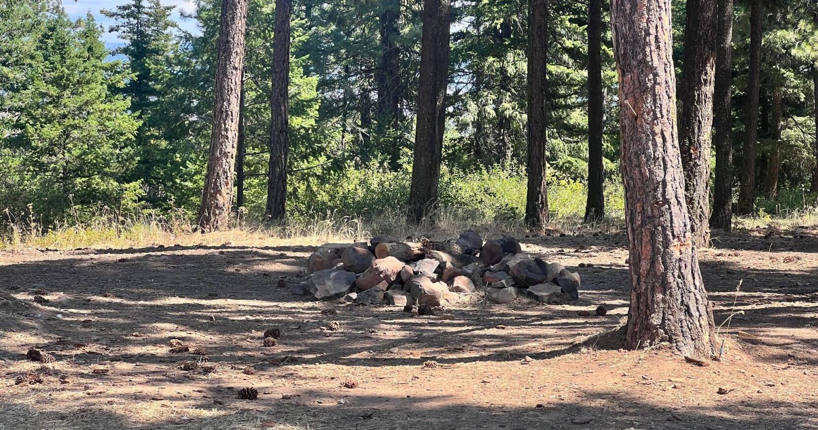 Washington DNR gets $15 million to acquire land, preserve Cle Elum Ridge - Vimarsana News