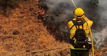 683e3ca4808eb.image.jpg?crop=1247,655,0,