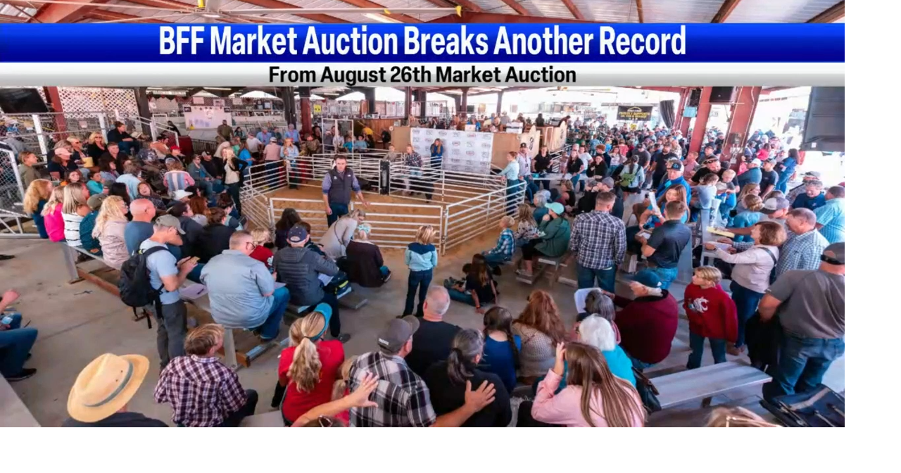 BentonFranklin Fair Market Stock Auction brings in record 1.3 million