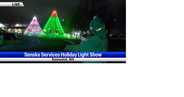 Senske annual holiday light show - Vimarsana News