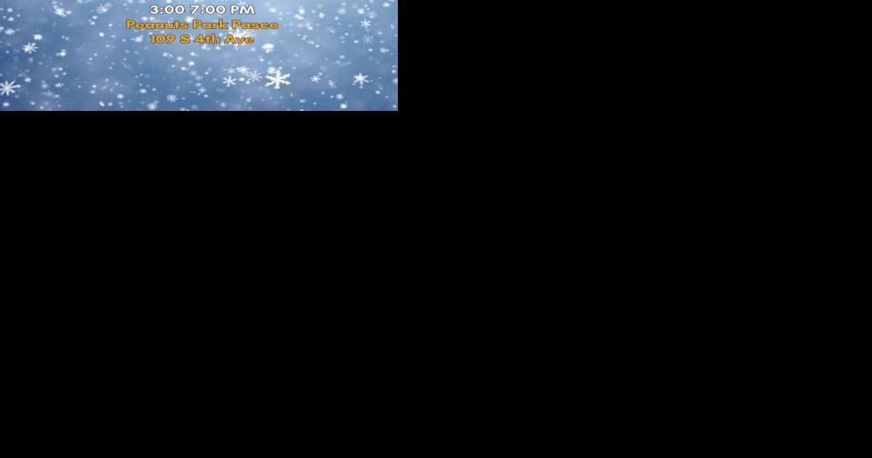 Come down to Peanuts Park and enjoy Pasco Winterfest - Vimarsana News