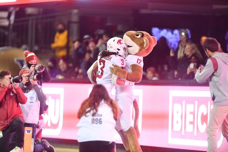 Washington Nationals Mascot Damn Right I Am A Nationals Fan Win Or