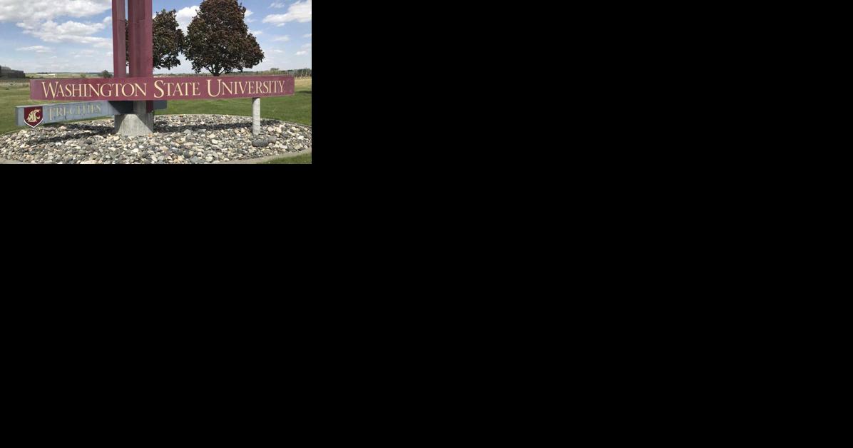WSU Tri-Cities Research Week to include panel discussion on clean energy - Vimarsana News