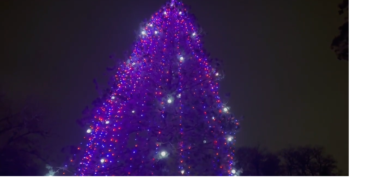 Port of Kennewick honors veterans with red, white and blue Christmas