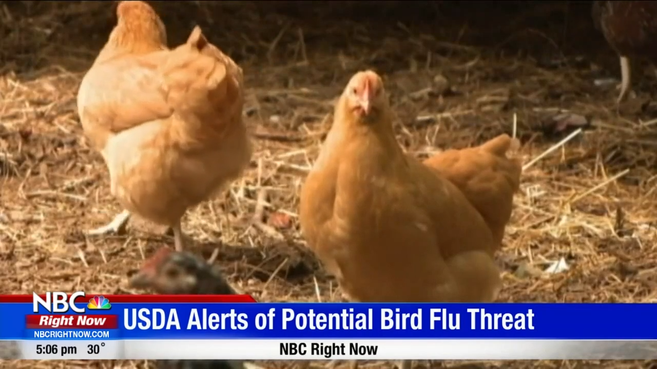 WA Department Of Agriculture Alerts Chicken And Poultry Owners Of ...