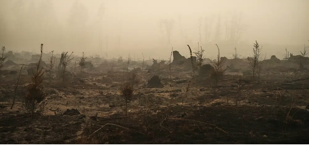 Jury finds electric utility PacifiCorp liable in devastating Oregon