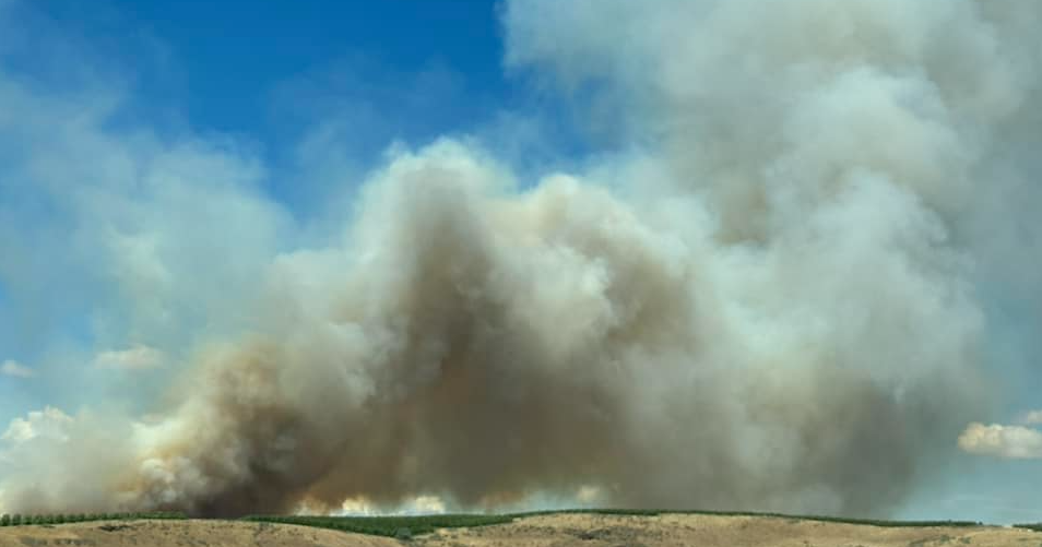 UPDATE: Air resources, Level 2 evacuations ordered for Oasis Fire - Vimarsana News