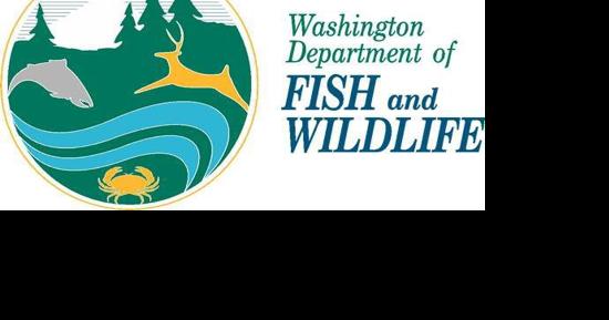 Washington State Master Hunter program applications are now open - Vimarsana News