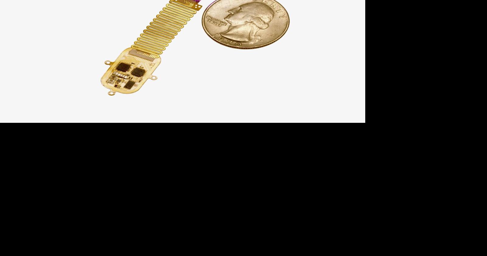 Implant that ‘talks’ to brain with light may help restore senses | Health