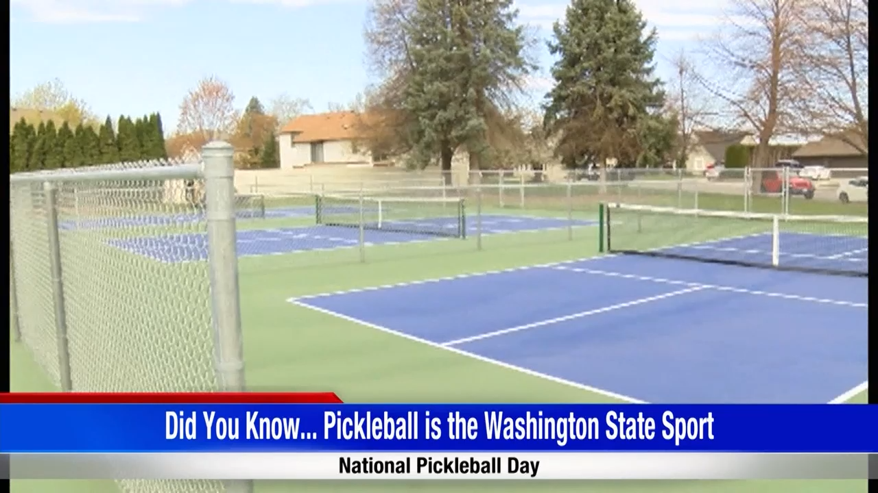It's National Pickleball Day