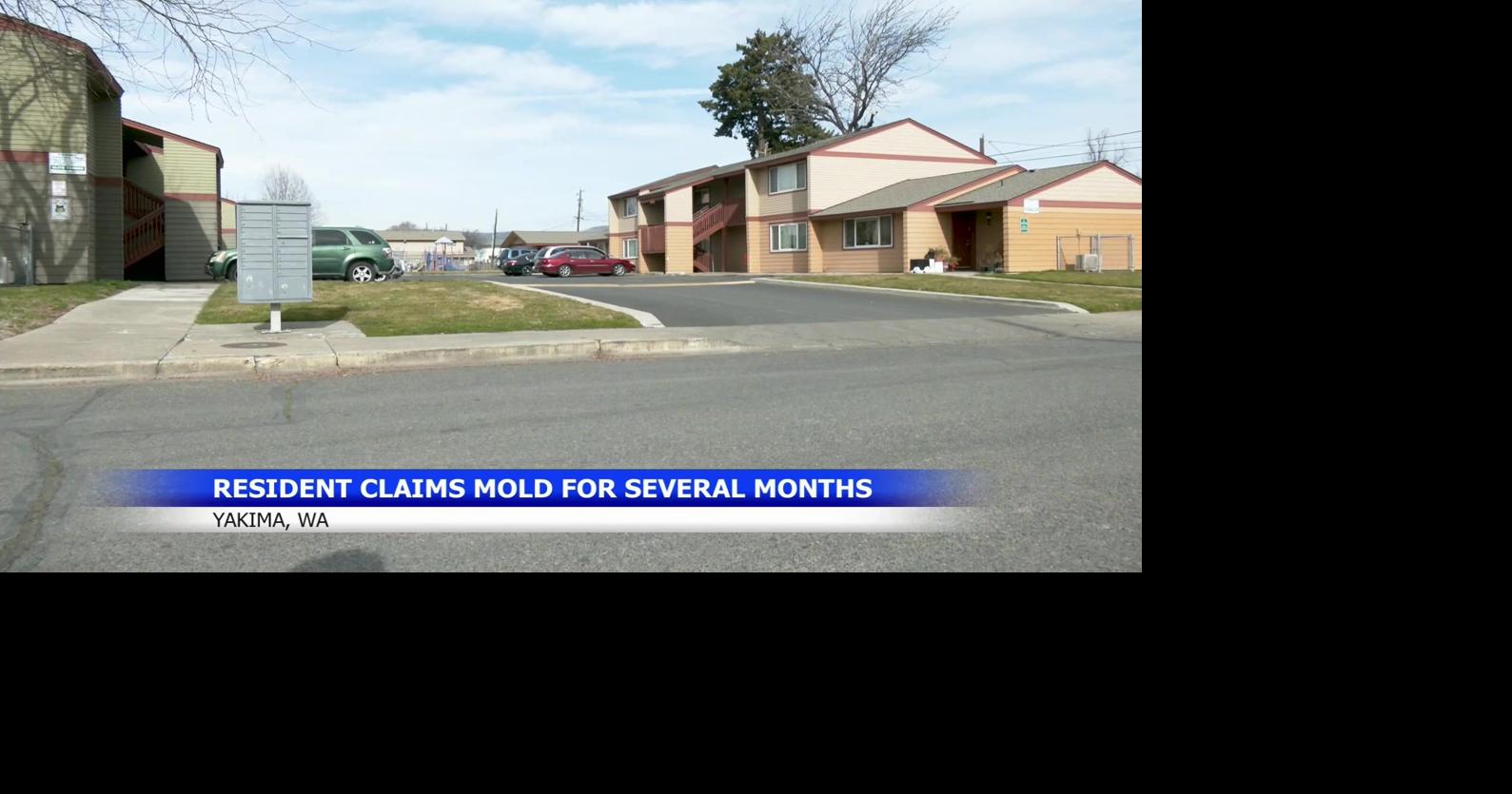 Yakima resident claims her apartment has had mold for several months
