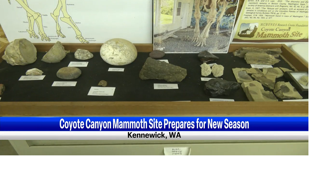 The Coyote Canyon Mammoth Dig site preparing for a Mammoth Season ...