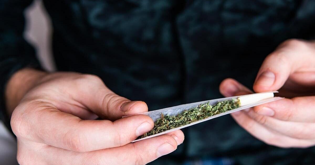 Marijuana Use Linked to Early Signs of Heart Damage | Health