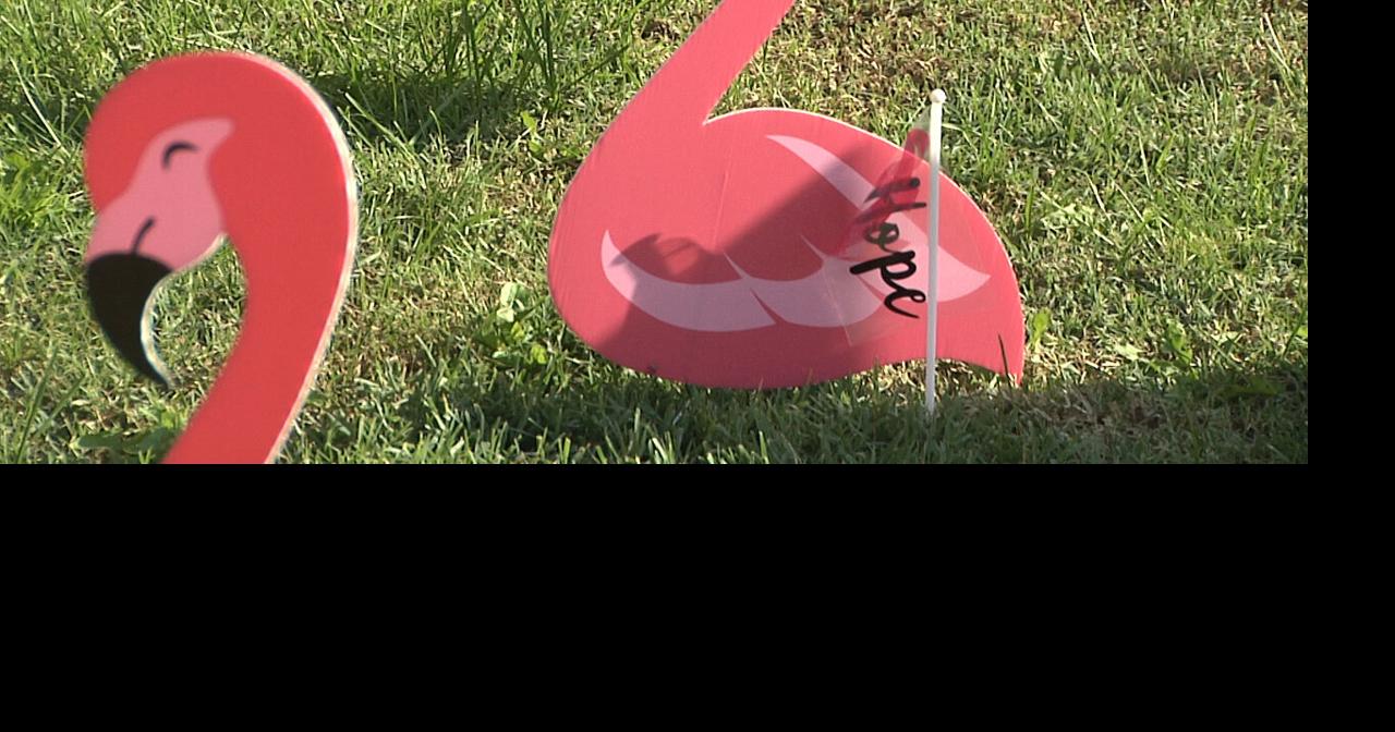 Local 4H club does "flocking" fundraiser for Breast Cancer Awareness