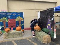 Local high school FFA chapter hosts pet food drive for local shelters 3