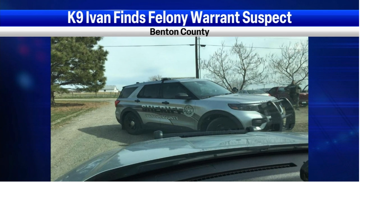 BCSO K9 finds suspect in crawl space after search warrant Sunday