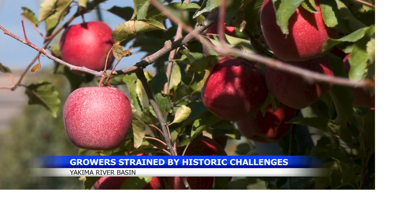 Farmers in Central and Eastern Washington face unprecedented challenges