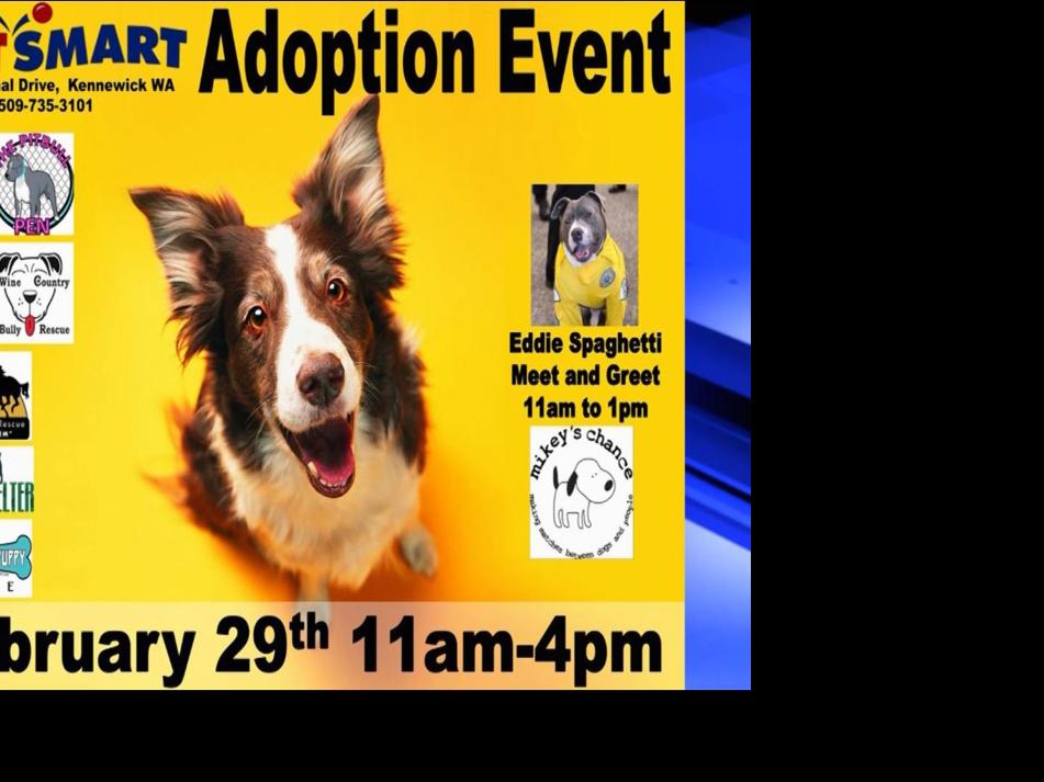 Over 120 pets up for adoption this weekend at PetSmart Community