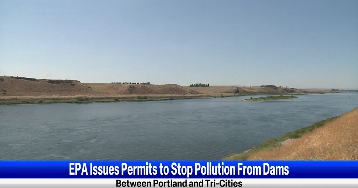 EPA issues permits to stop pollution from dams between Portland and Tri ...