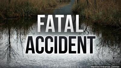 34-year-old man killed after getting trapped under fallen tree ...