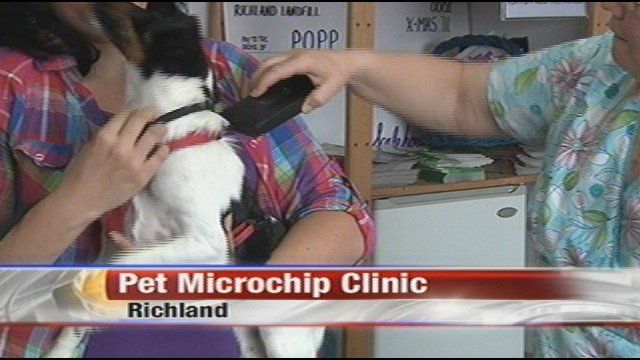 Pet Microchip Clinic News Nbcrightnow Com