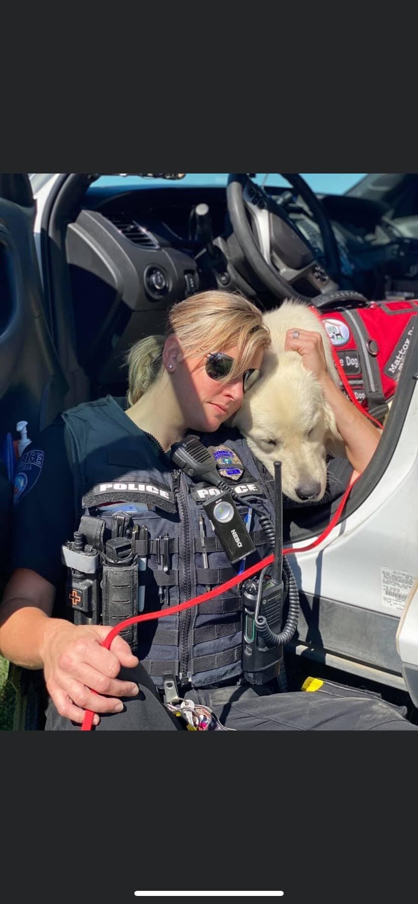Officers past and present advocating for police therapy dogs | Tri ...