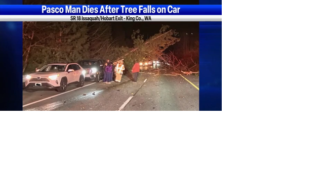 Falling tree kills Pasco man on highway - Vimarsana News