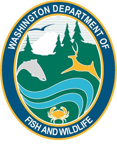 Wash fish and game Clearance