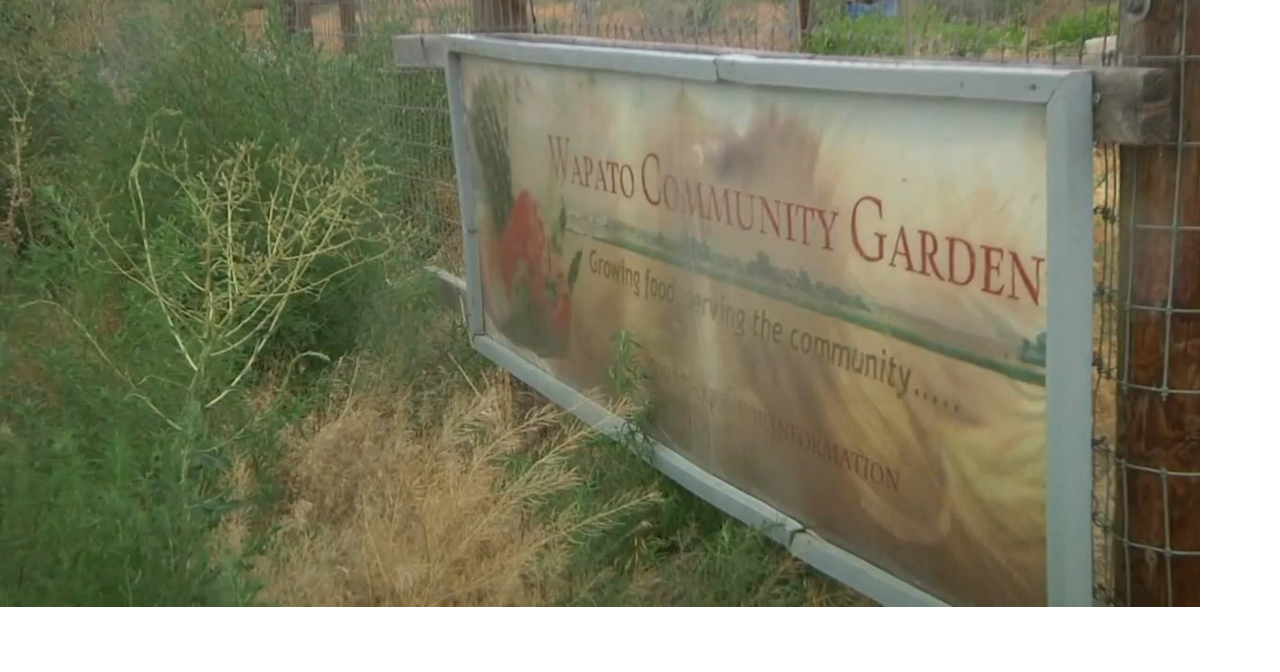 Sisters working to revive Wapato Community Garden News