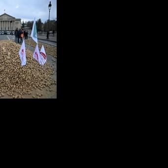 Farmers unloaded tonnes of potatoes in front of the French National Assembly in January