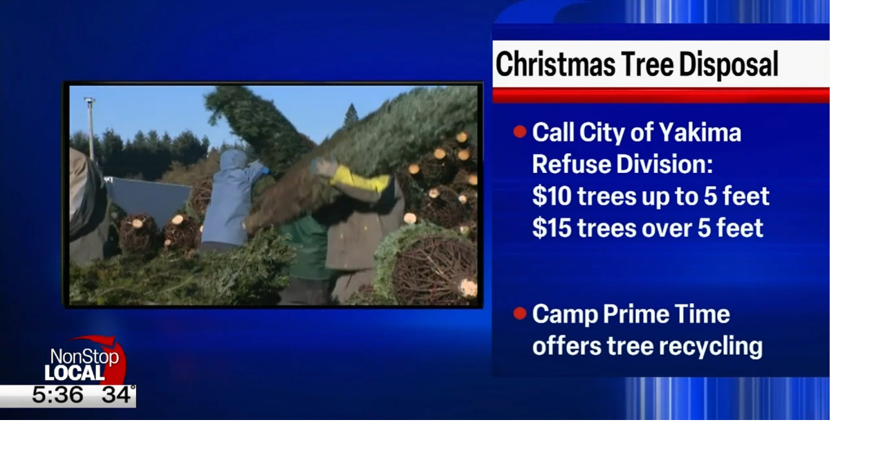 Christmas tree disposal options in Yakima News