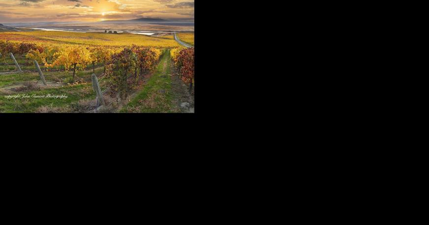 Thurston Wolfe Winery holding event featuring master photographer - Vimarsana News