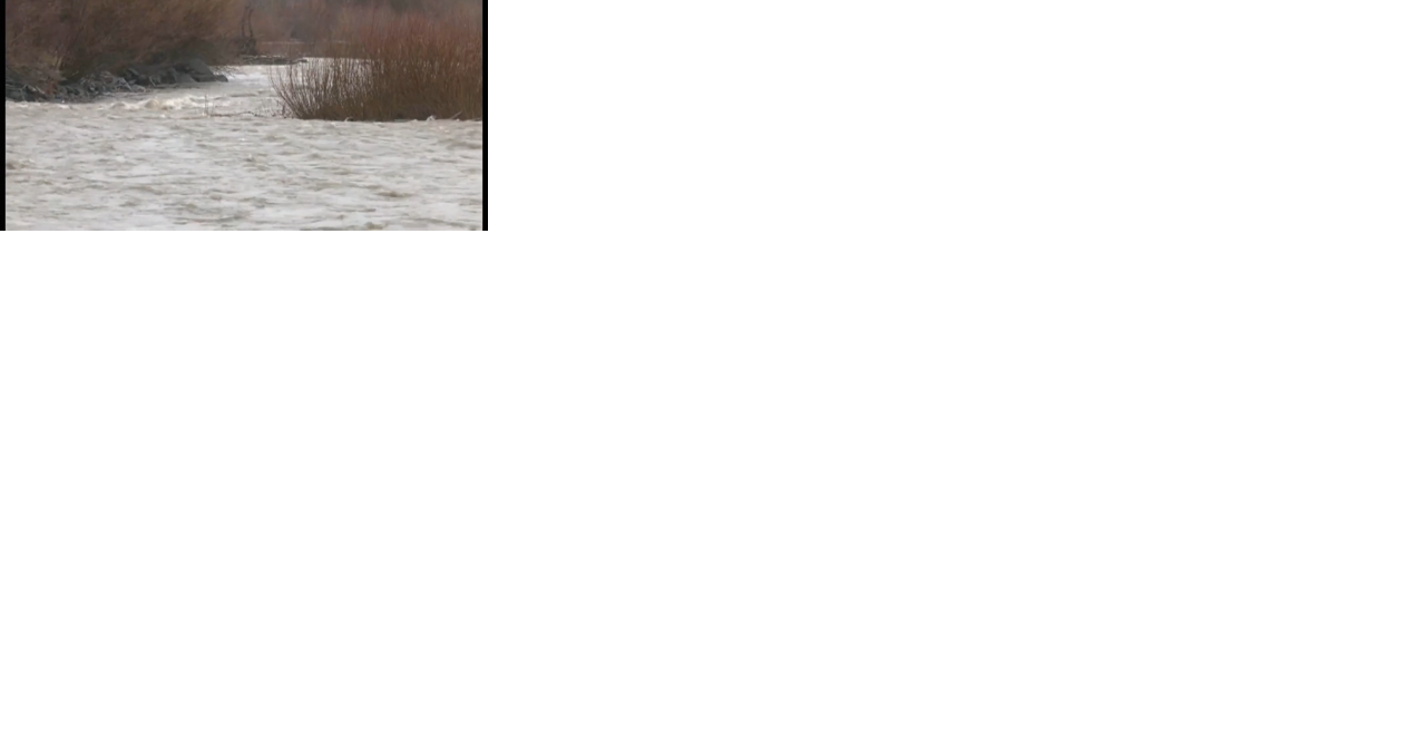 Preparing your property and home for floods - Vimarsana News