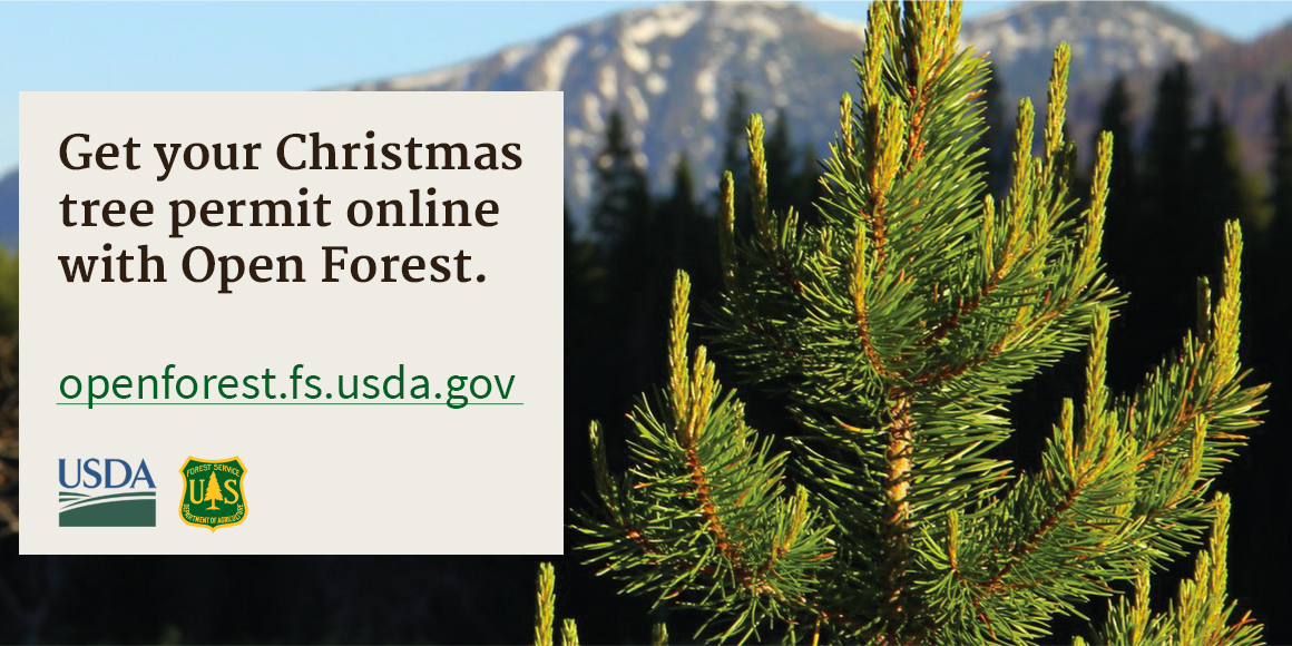 Christmas Tree permits now available for the Umatilla National Forest