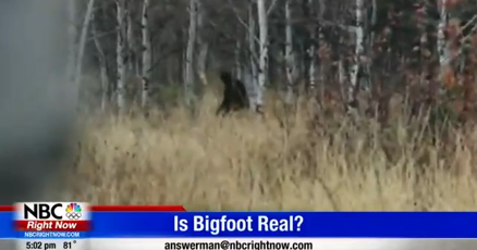Bigfoot is real : r/NoMansSkyTheGame