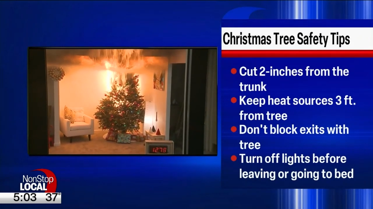 Christmas Tree Safety Tips From The State Fire Marshal's Office | News ...