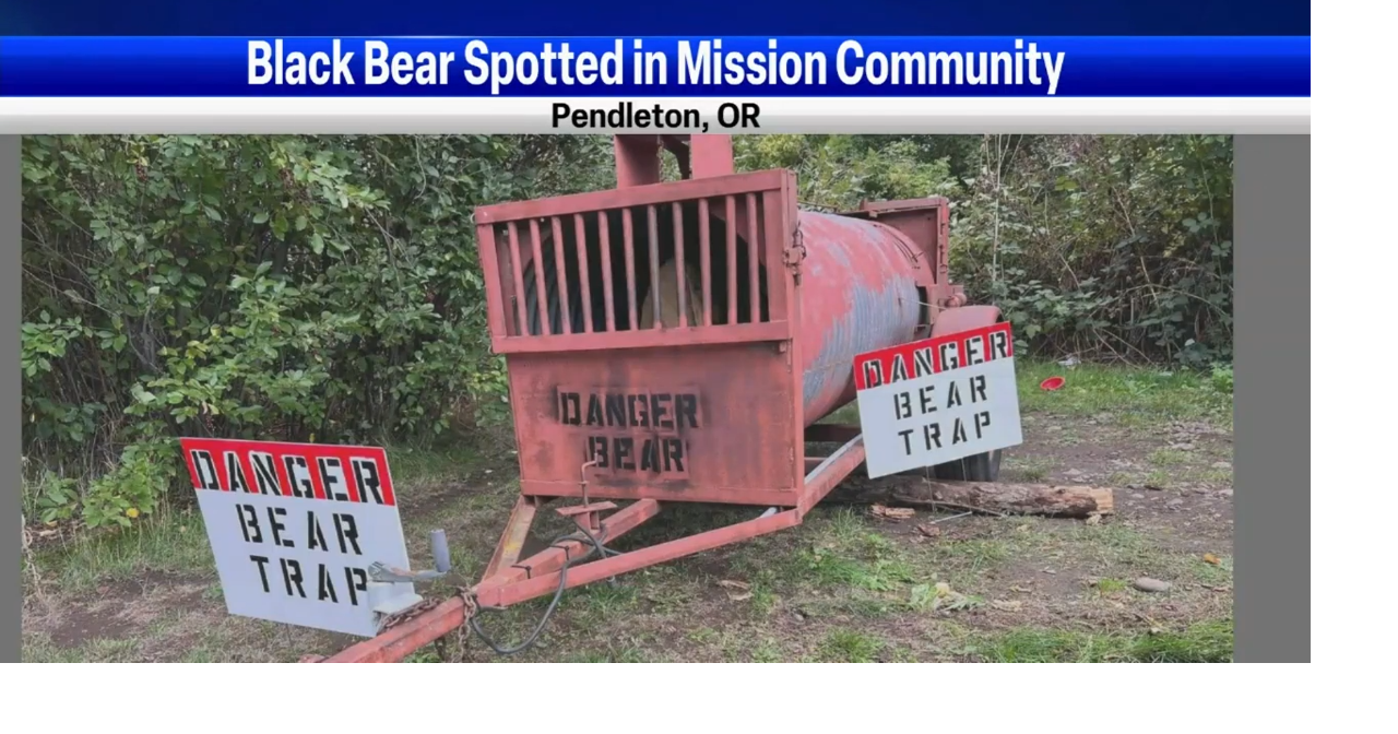 Wake Up Morning Rush Body found near Mabton identified, bear spotted