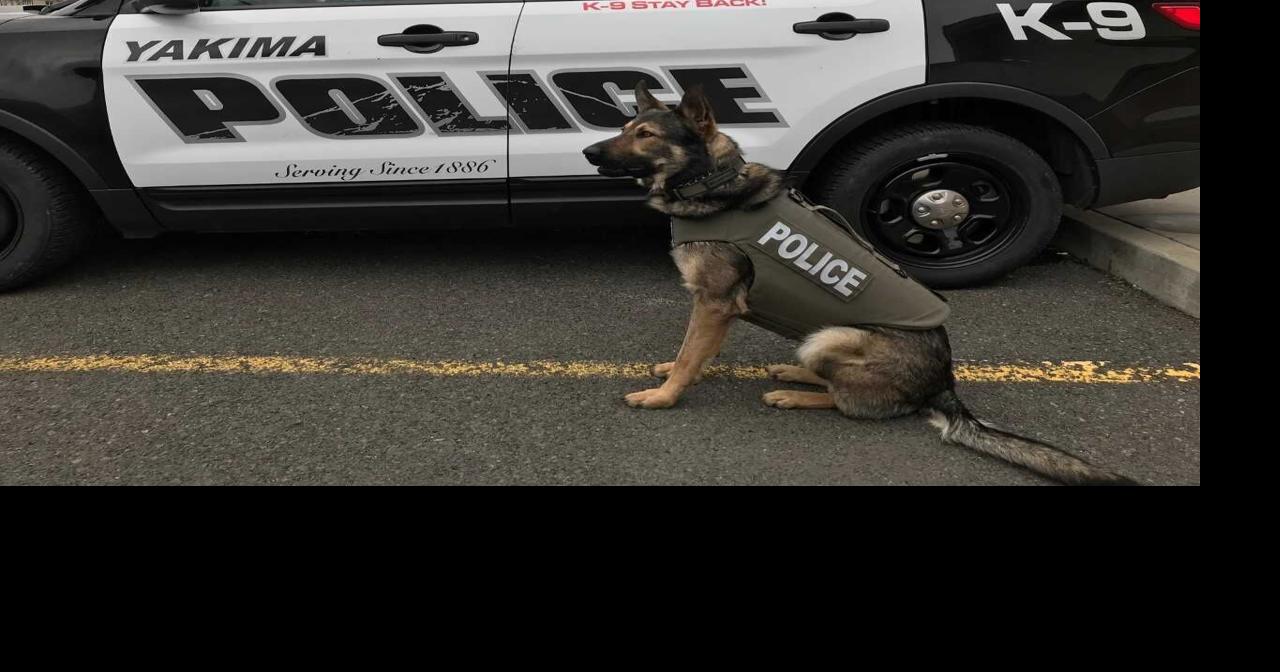 New K9 Foundation looking for donations to support Yakima's local K9