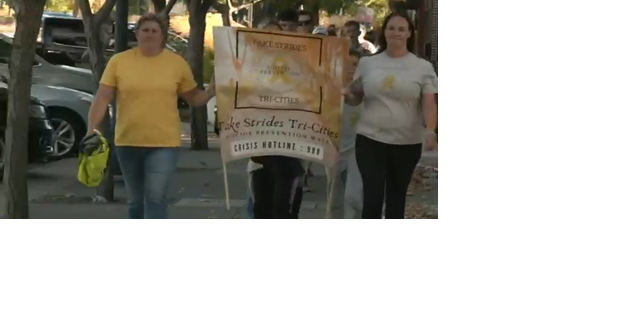Takes Strides has its 8th suicide prevention walk - Vimarsana News