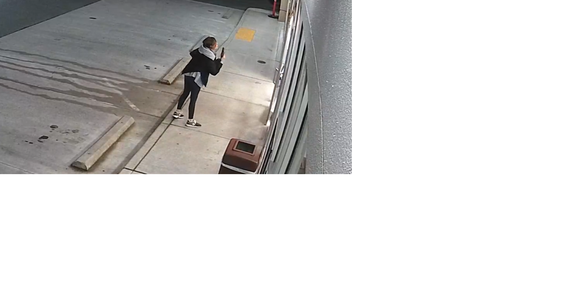 Surveillance Shows Wild Altercation At Gas Station In Belleville Bellevue woman charged for gas station gun altercation | News