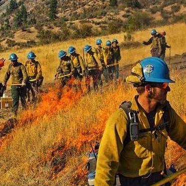 Prescribed fire to burn on Cle Elum Ridge - Vimarsana News