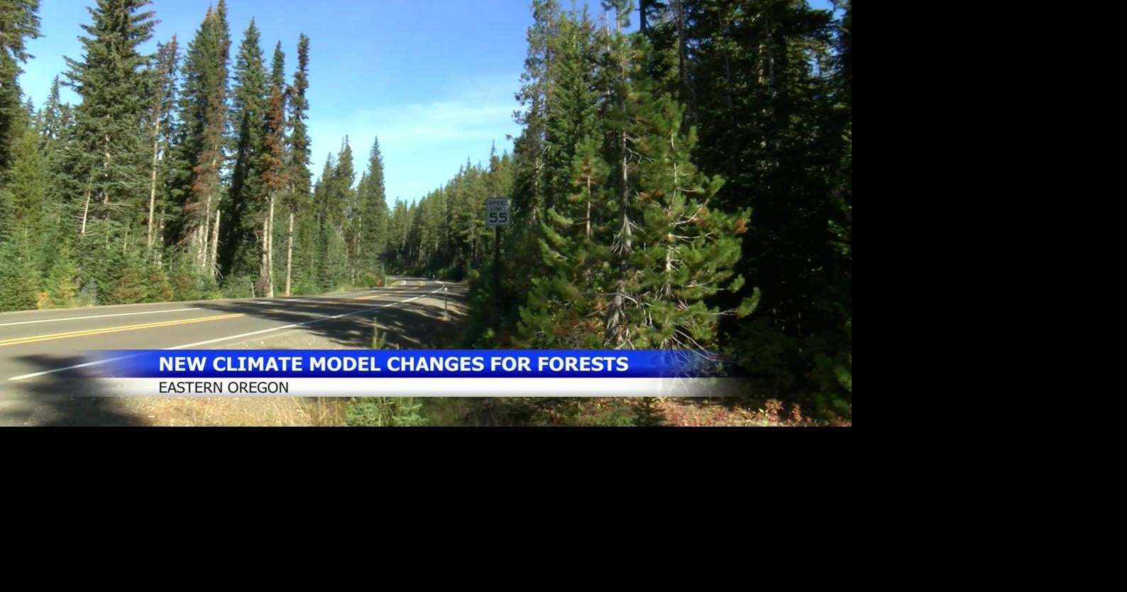 Oregon ecosystems could shift from forest to grassland in decades