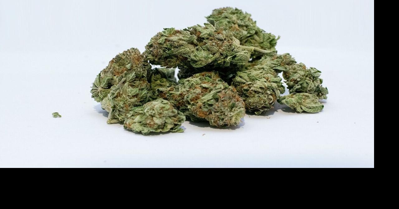 New study in Pullman shows that the 'munchies' might help those with low appetites